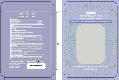 Sanitizers_secondbatch_techpacks_print__frosted Woods-r-ol (Sanitizers Secondbatch Techpacks Print  Frosted Woods R Ol)